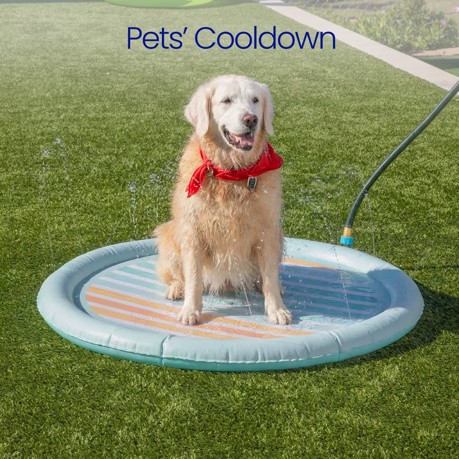 Dog sitting on a cooling pad with a hose, labeled 'Pets' Cooldown'.