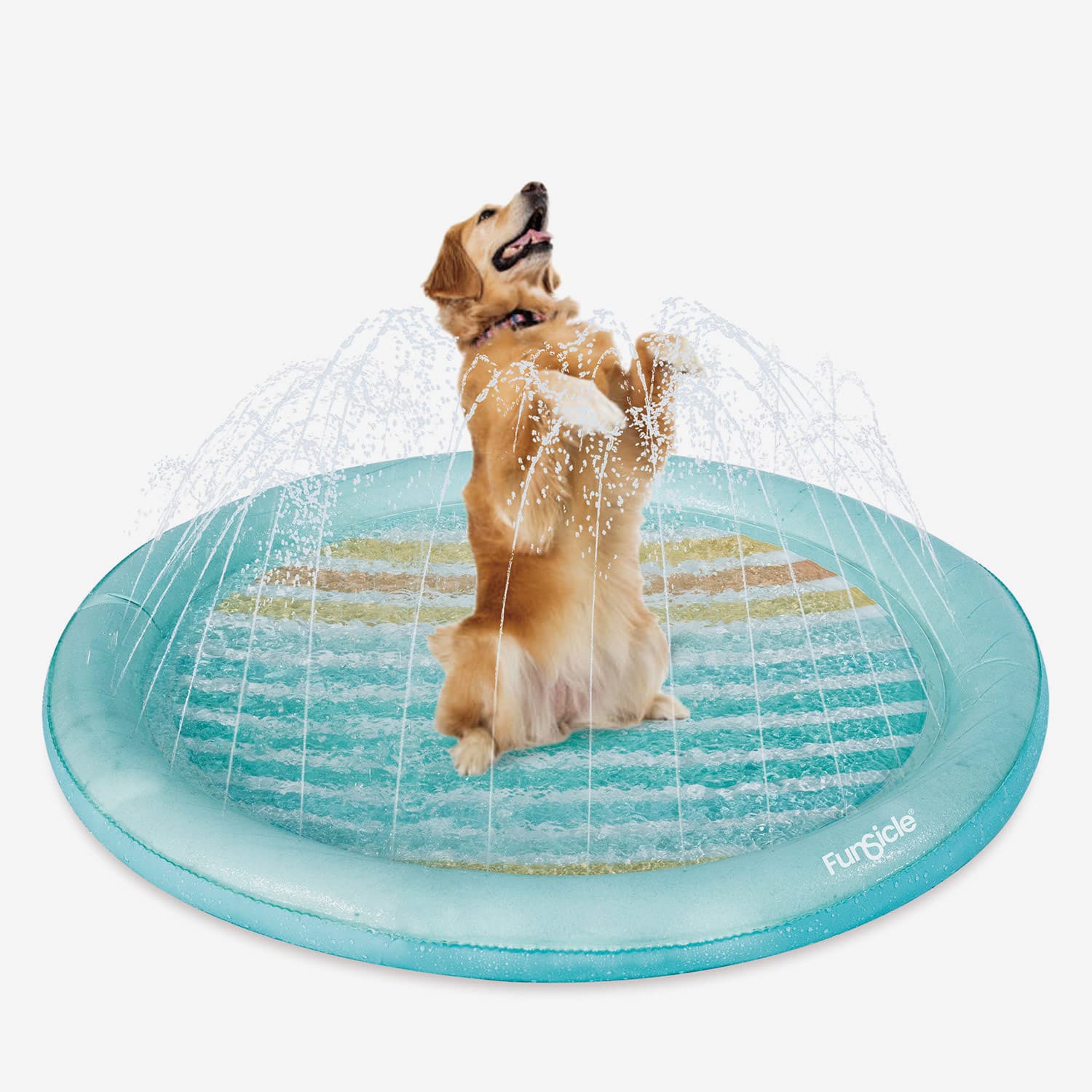 Dog playing on a Funsicle inflatable water mat with a sprayer.
